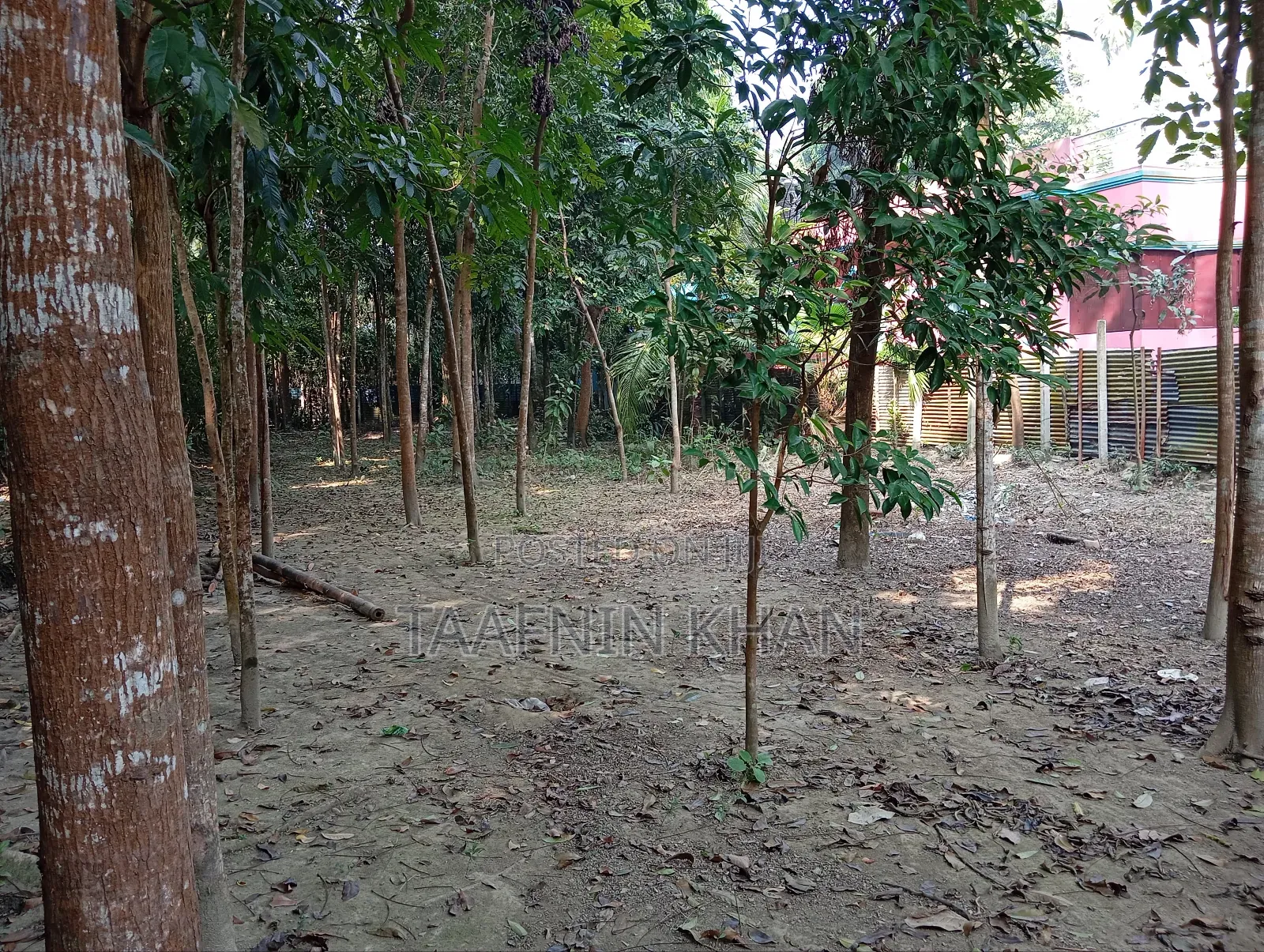 Urgent Plot Sale