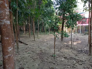 Urgent Plot Sale