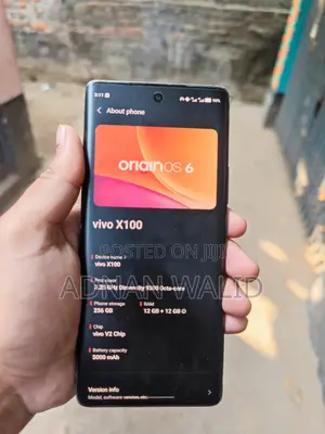 Vivo X100 256 GB Black