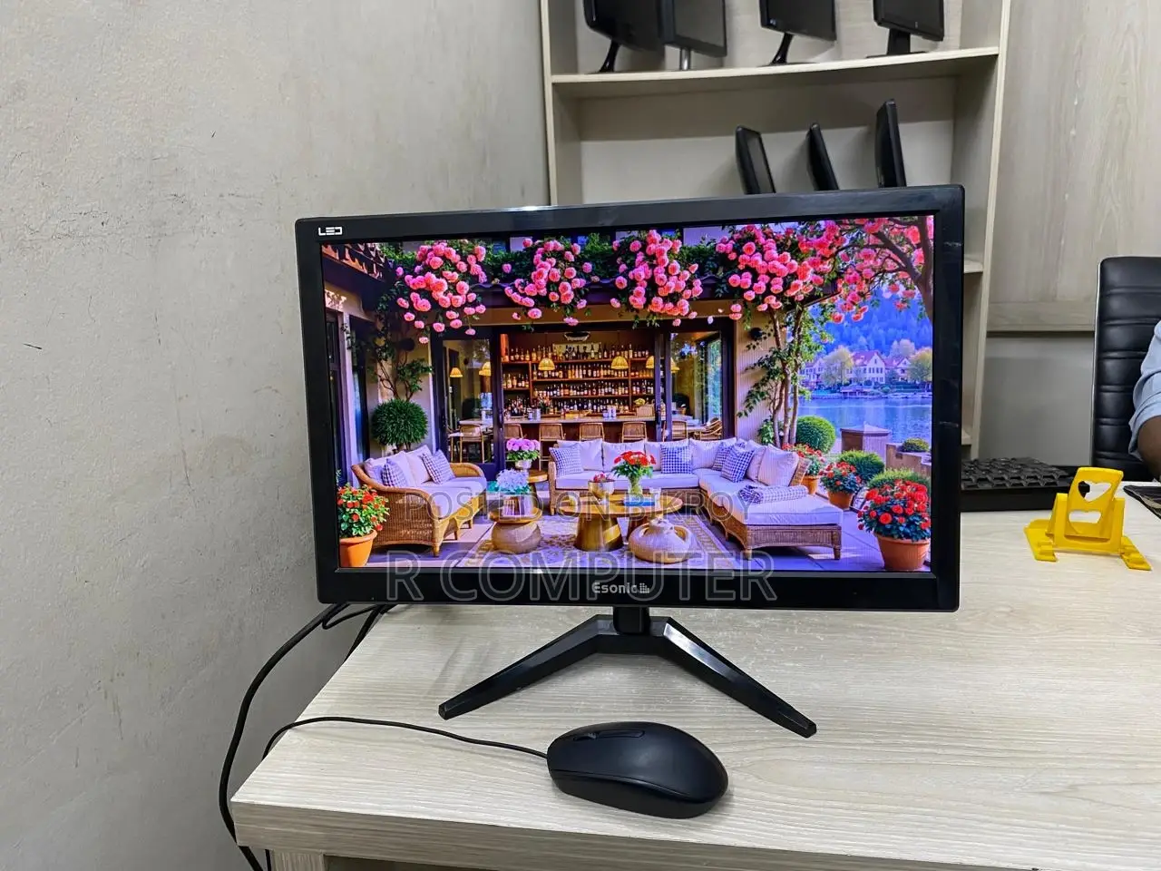 Esonic 19"Inch Led Wide Srceen Full Fresh Monitor