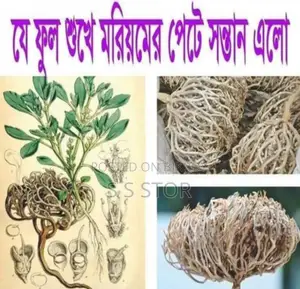 Moriom Flower Midium Size