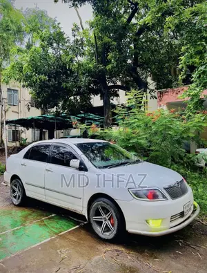 Toyota Corolla 2004 White