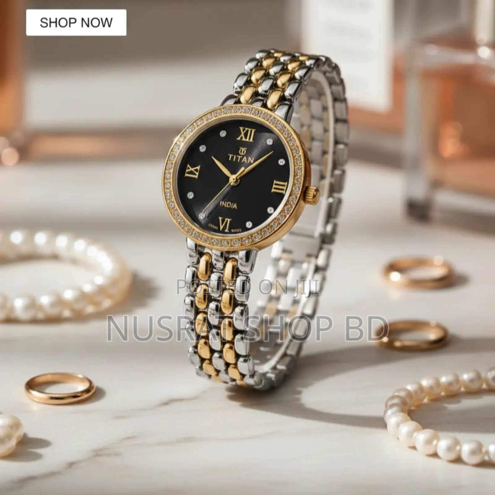 Titan Two-Tone Roman Dial Watch