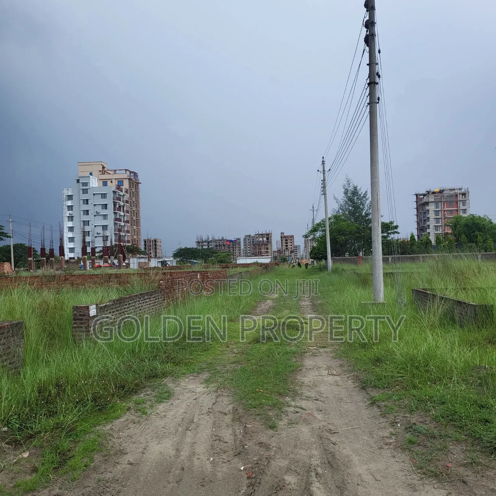 5 Katha Plot for Sale – P Block, Bashundhara Residential Area