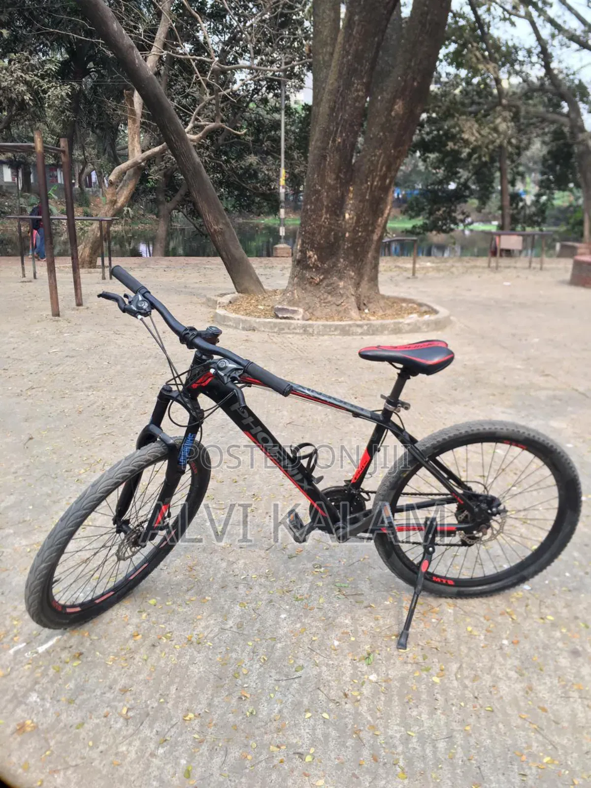 Phoenix Cycle