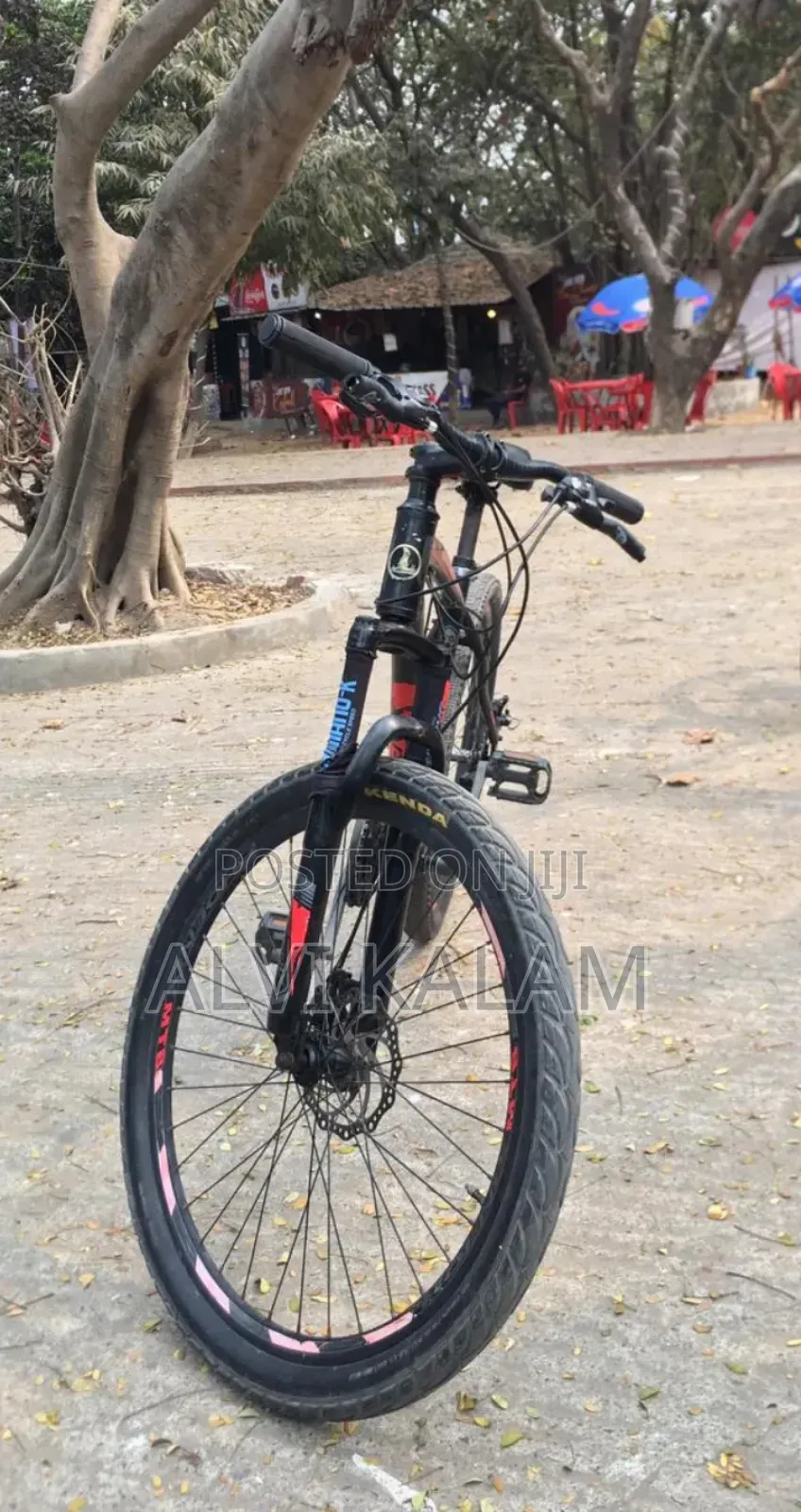 Phoenix Cycle