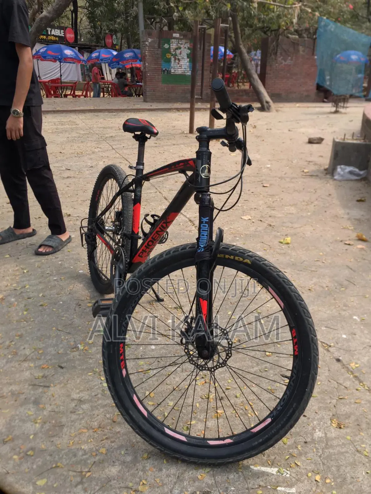 Phoenix Cycle