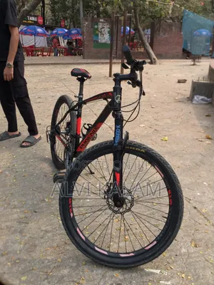 Phoenix Cycle