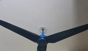 একটি চমৎকার মিল্লাত ফ্যান