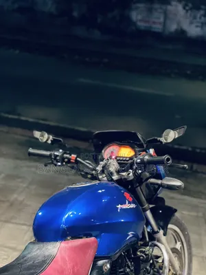 Bajaj Pulsar 150 2008 Blue