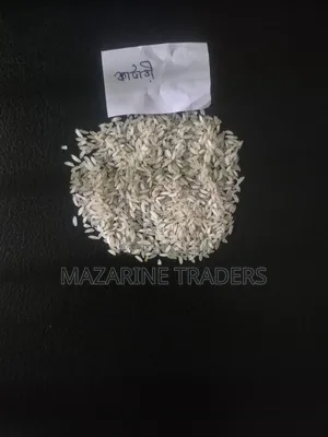 Katari Rice