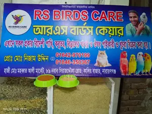 Get All Types of Foreign Birds, Bird Food, Medicine, Cages, and Accessories.