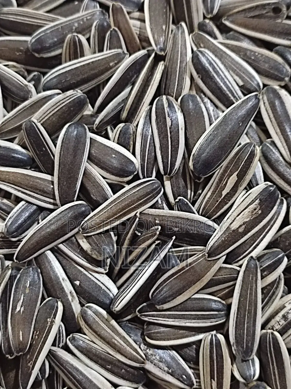 Get All Types of Foreign Birds, Bird Food, Medicine, Cages, and Accessories.