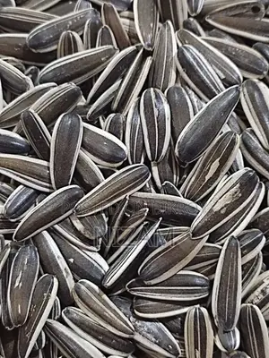 Get All Types of Foreign Birds, Bird Food, Medicine, Cages, and Accessories.