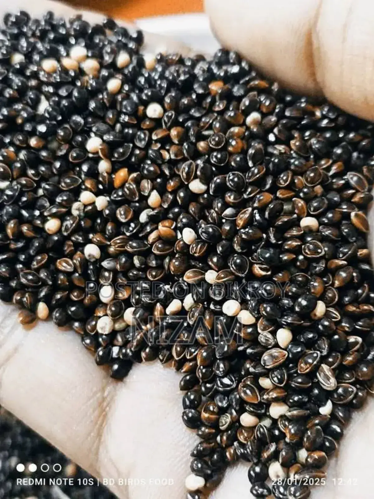 Get All Types of Foreign Birds, Bird Food, Medicine, Cages, and Accessories.