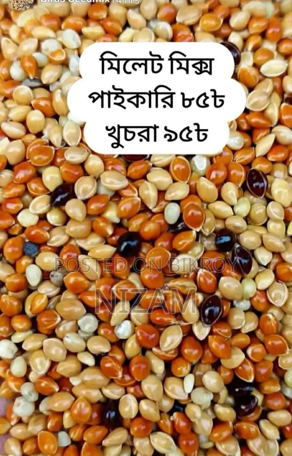 Get All Types of Foreign Birds, Bird Food, Medicine, Cages, and Accessories.
