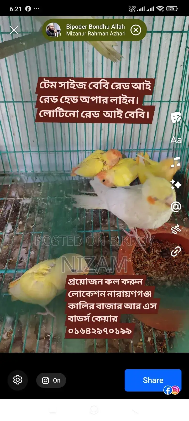Get All Types of Foreign Birds, Bird Food, Medicine, Cages, and Accessories.
