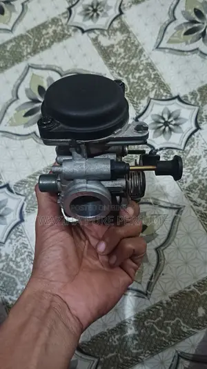 Pulsar Bike Carburetor