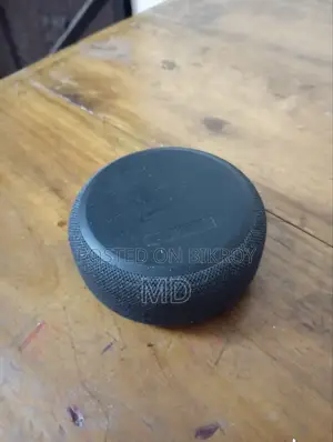 Google AI Assistant Speaker