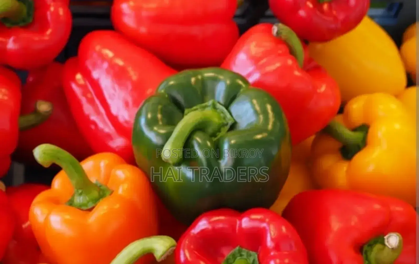 Vegetable Capsicum