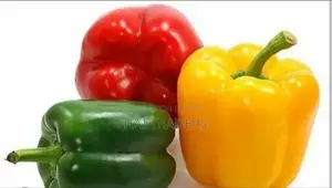 Vegetable Capsicum