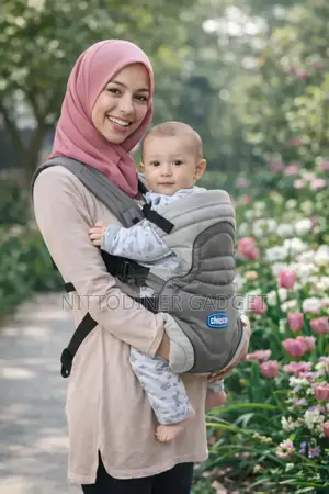Chicco Baby Career Bag