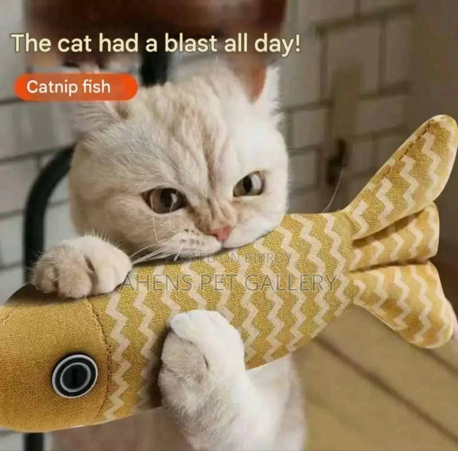 Fish Shaped Catnip Toy