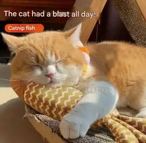 Fish Shaped Catnip Toy
