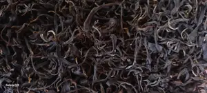 Green Tea (100gm)