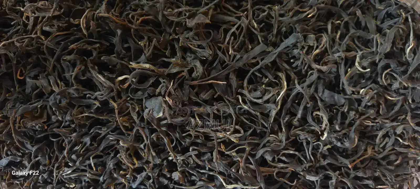 Green Tea (100gm)