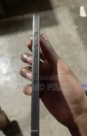 Apple iPhone 15 Pro Max 256 GB Silver
