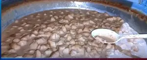 Famous Chhana Payesh (Sweet Rice Pudding) from Sherpur