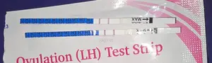 Ovulation Test Kit BD – Easy Solution for Pregnancy Planning