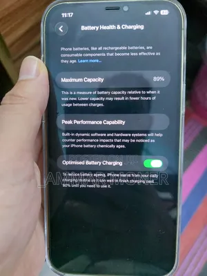 Apple iPhone 12 Pro Max 256 GB গোল্ড