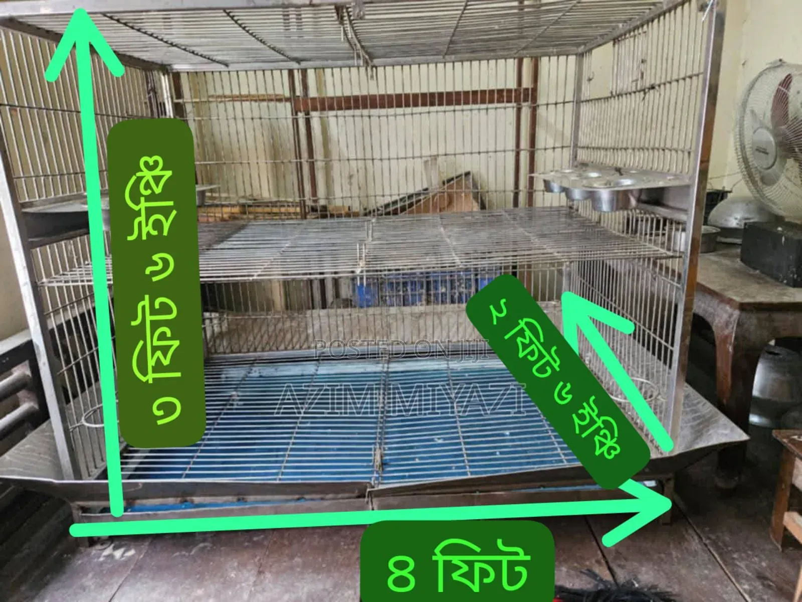 Bird Cage