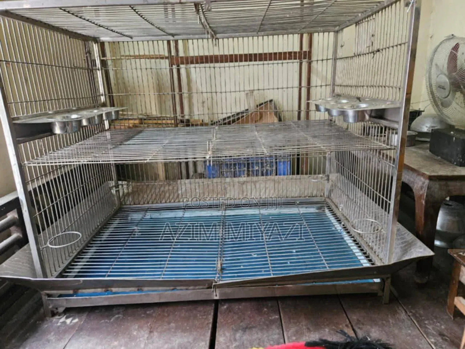 Bird Cage