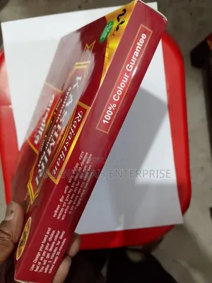 কাশ্মীরি সিনথেটিক ফাস্ট কালার মেহেন্দি কোন | ইনস্ট্যান্ট মেহেদি (০২ পিস)