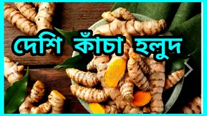 দেশি কাঁচা হলুদ ২৫০ গ্রাম