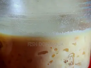 Fish Live Food