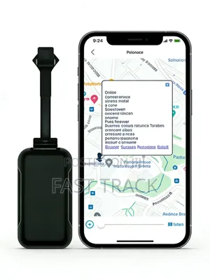Anti-Theft Device for Easybike, Auto, and Mishuk