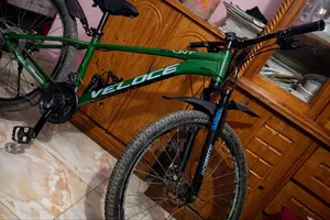 Tvs Apache 160 4v 2025 Green