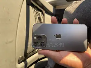 Apple iPhone 13 Pro 256 GB ব্ল্যাক