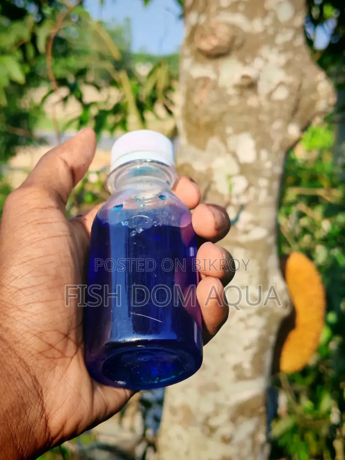 Liquid Methylene Blue (100-1000) Ml