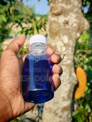 Liquid Methylene Blue (100-1000) Ml