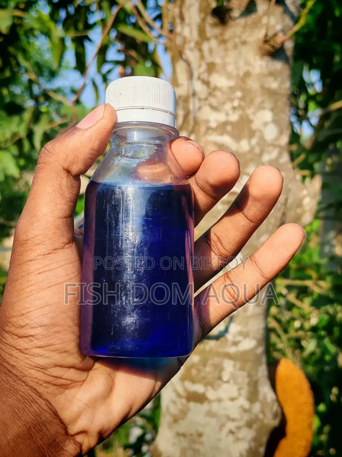 Liquid Methylene Blue (100-1000) Ml