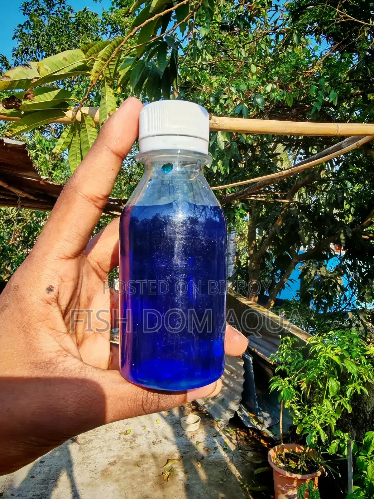 Liquid Methylene Blue (100-1000) Ml