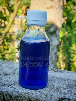 Liquid Methylene Blue (100-1000) Ml