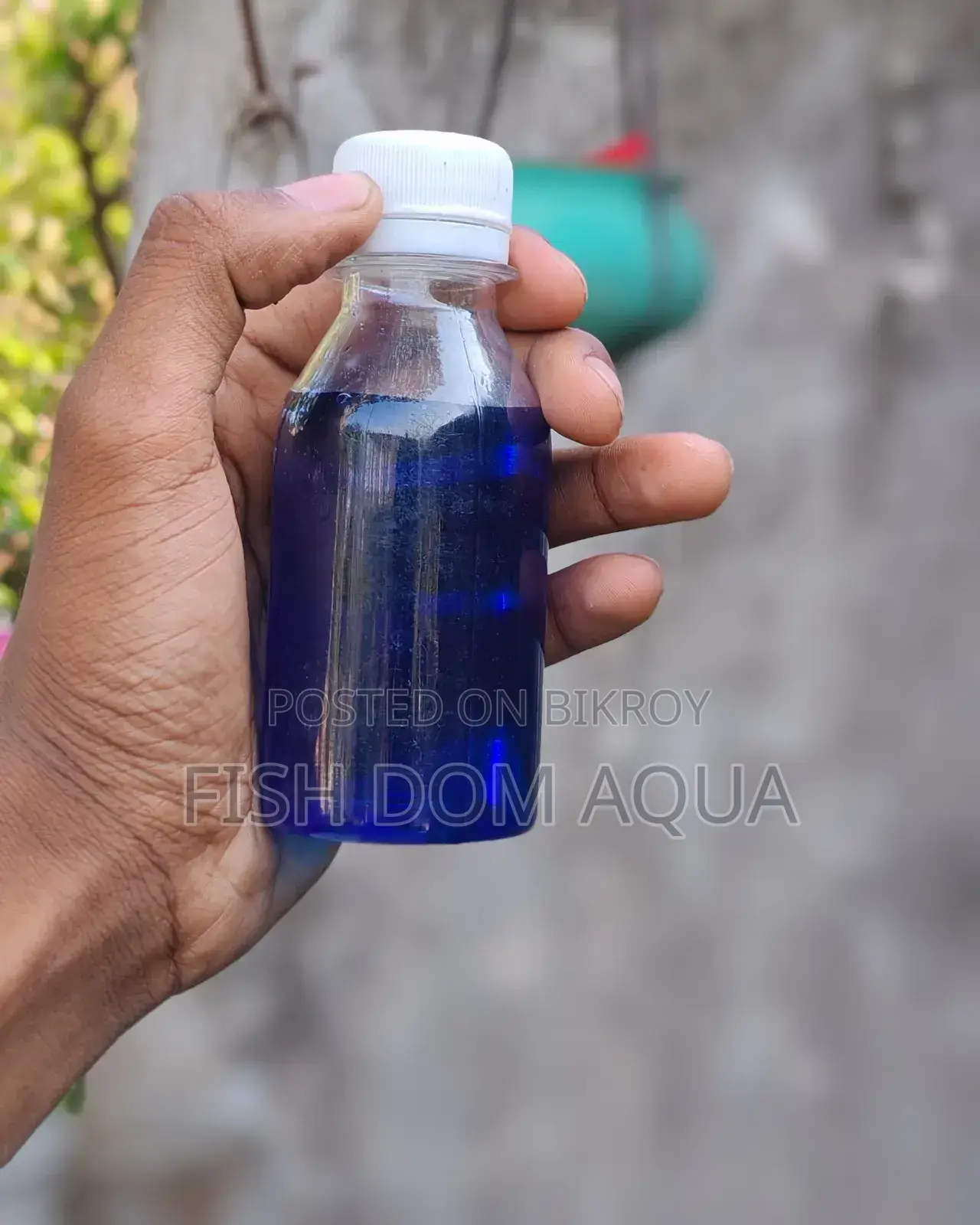 Liquid Methylene Blue (100-1000) Ml