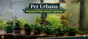 Everything for your Aquarium