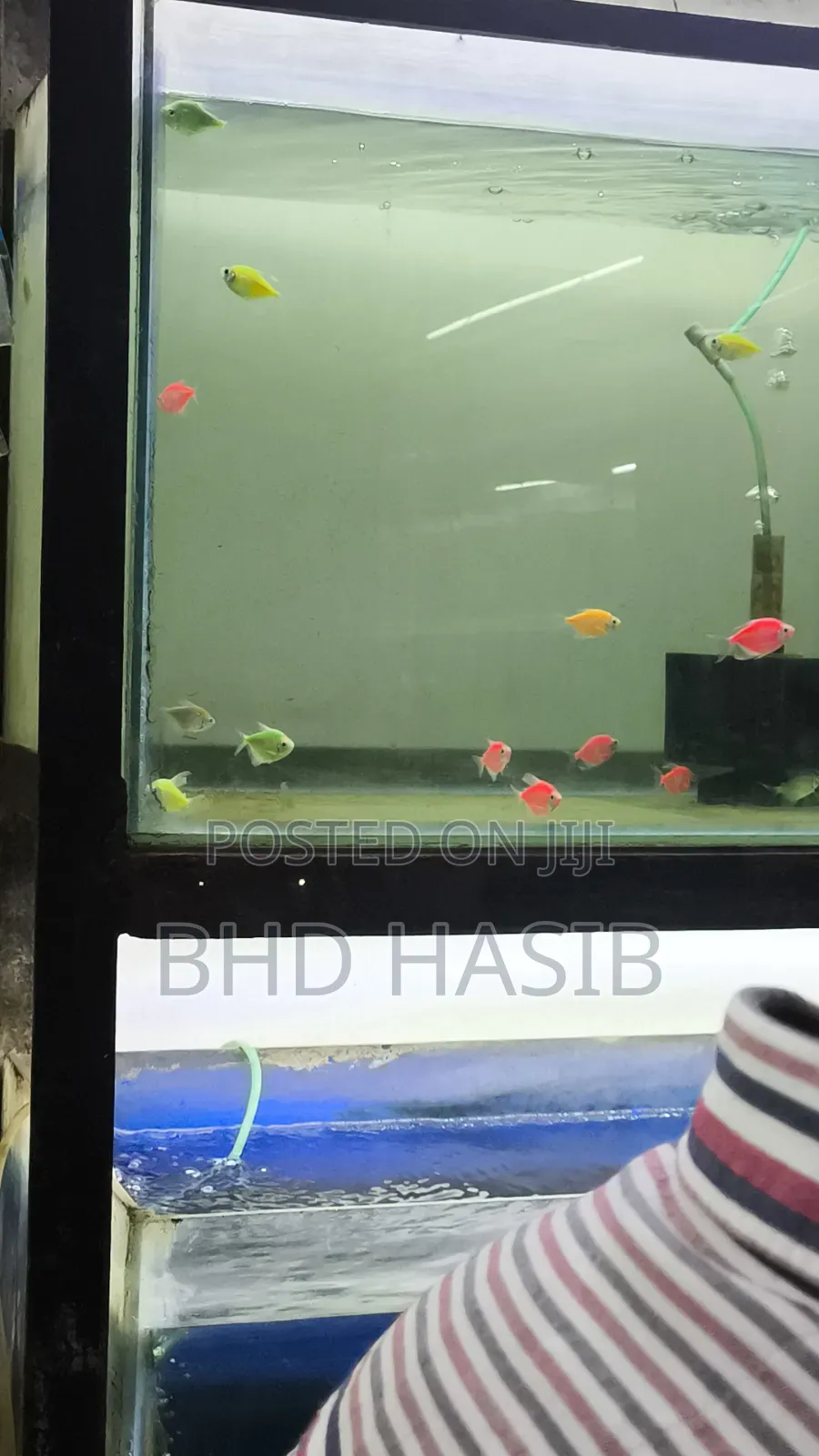 Everything for your Aquarium